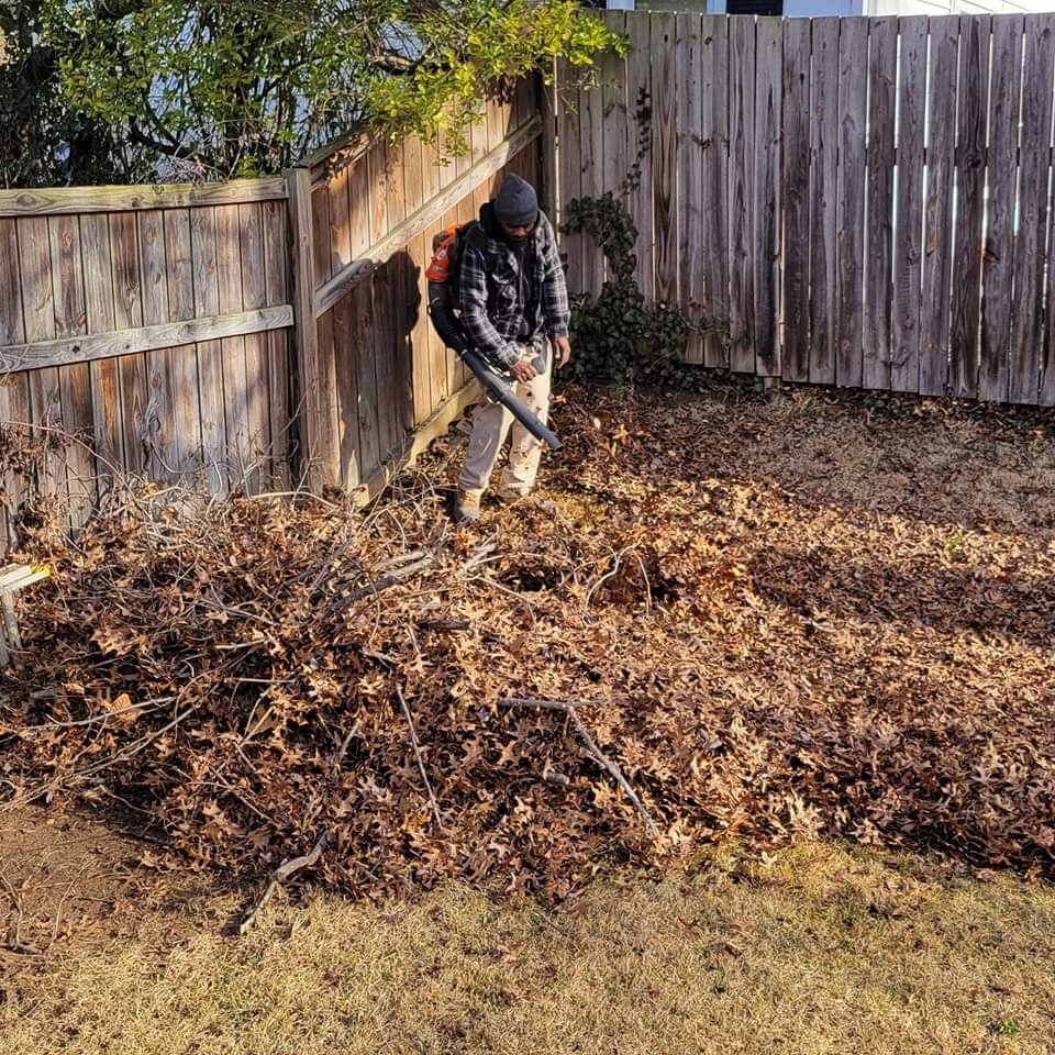 Fall leaf cleanup before and after on a large driveway